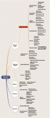 IoT vulnerability structure.