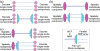 Connectivity options between SDM/discrete components and fibers. 