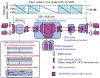 Future terrestrial SDM optical transport network, showing the optical fibers, optical amplifiers, optical switches, and line terminating units, all adapted for SDM.