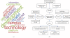 Results for the smart governance category: (a) Cloud of terms in titles and abstracts (three or more occurrences); (b) Distribution of aspects covered in publications.